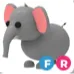 Fr Elephant