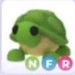 Nfr Turtle
