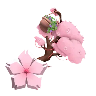 Cherry Blossom Set x6