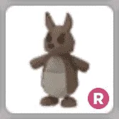 R Kangaroo