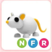 NFR Golden Rat