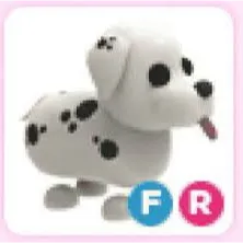 FR Dalmatian