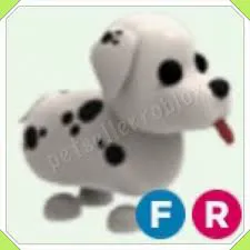 FR Dalmatian