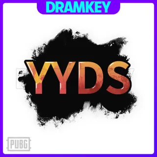 PUBG | YYDS Spray