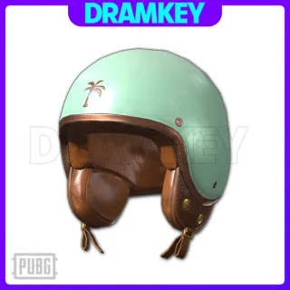 PUBG | Summer Safety - Helmet (Level 1)