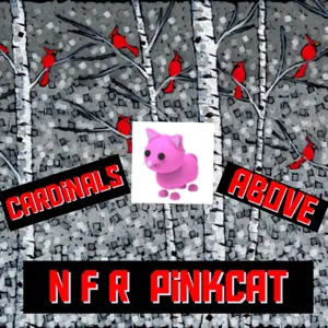 nfr pink cat