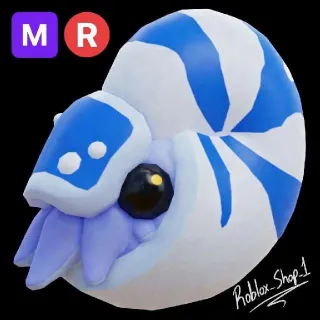 Mr Nautilus