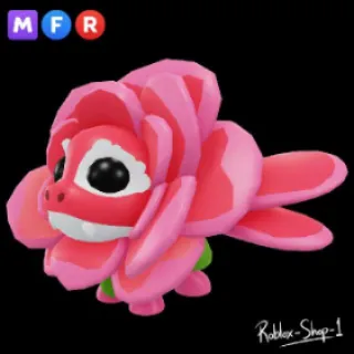 Mfr Rose Dragon