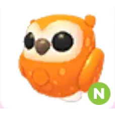 Neon clementine owl 