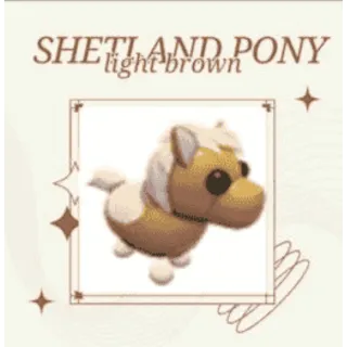 Light brown Shetland pony 