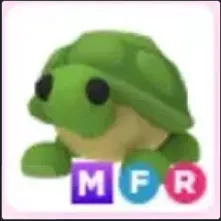 MFR Turtle