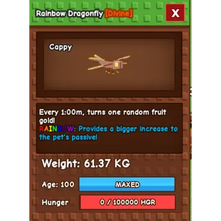 RAINBOW DRAGONFLY(61.37KG)