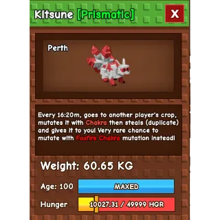 Kitsune (60.65kg)