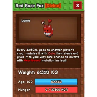 RED ROSE FOX (61.60KG)