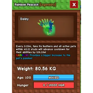 15 SEC RAINBOW PEACOCK (80.56KG)