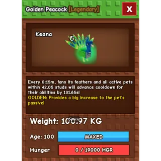 GOLDEN peacock (100.97KG)(15SEC)