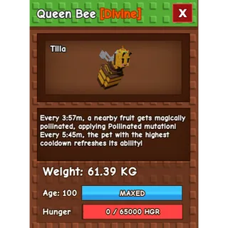 MEGA QUEEN BEE (61.39KG)