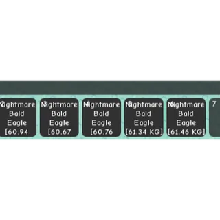 5-NIGHTMARE BALD EAGLE (60/61KG)