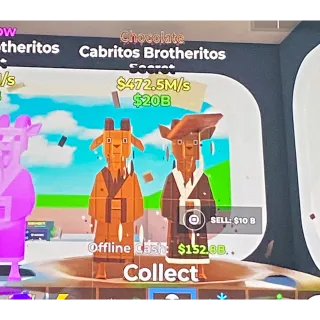 472M/s chocolate cabritos brotherito