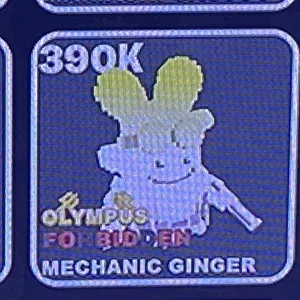 390k Olympus ginger