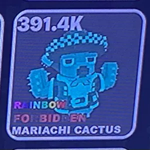 391.4k rainbow cactus