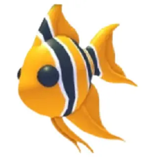 Angelfish