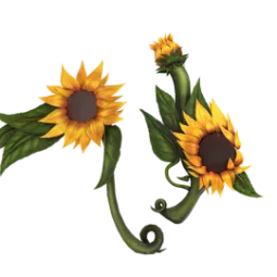Sunflower Set // Murderers VS Sheriffs Duels