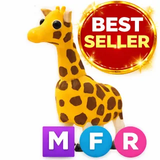 MFR Giraffe 