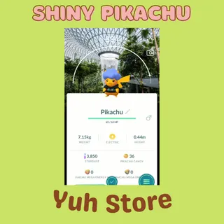Shiny Pikachu Background Singapore