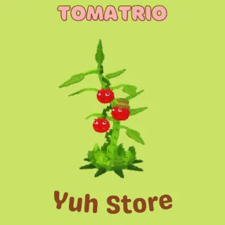 Tomatrio