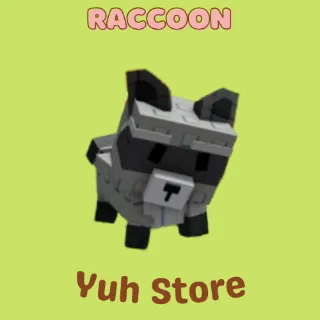 Raccoon