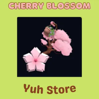Cherry Blossom Set FTF