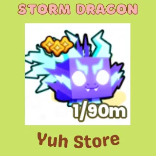 Storm Dragon