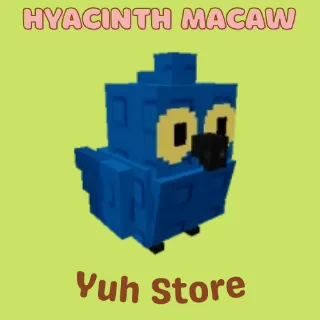 Hyacinth Macaw Grow A Garden