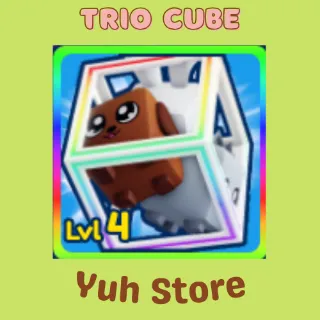Trio Cube Bgsi