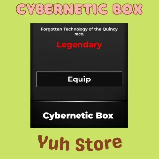 Cybernetic Box Type Soul