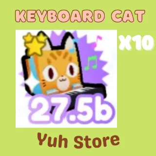Pet | Keyboard Cat