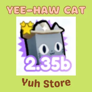 Pet | Yee-haw Cat