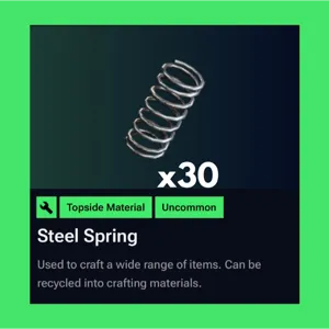 Steel Spring x30