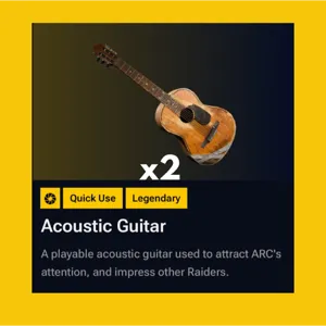 Acoustic Guitar x2