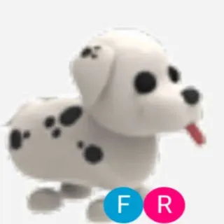 FR DALMATIAN