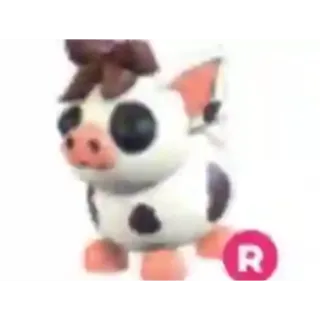 Full grown R Mini Pig