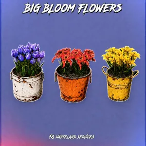 1K ea Big Bloom Flowers