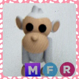 MFR Albino Monkey