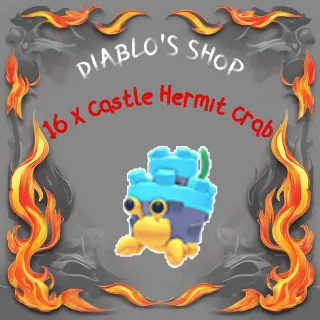 16 x Castle Hermit Crab