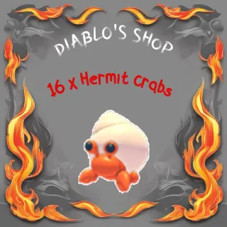 16 x Hermit Crab