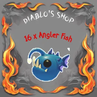 16 x Angler Fish