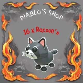 16 x Racoons