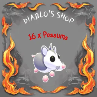 16 x Possums