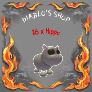 16 x Hippo